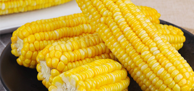 小麥秸稈還田地塊種玉米，先澆水后播種好？還是先播種后澆水好？